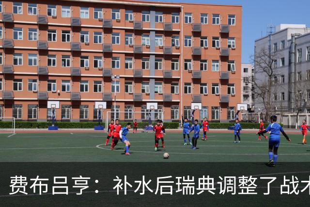 费布吕亨：补水后瑞典调整了战术，费布吕亨做出几次关键扑救
